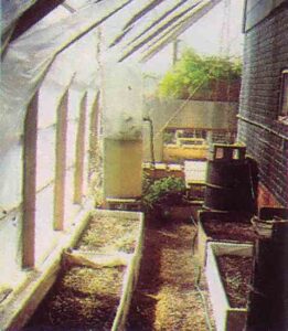 Urban Homestead: Living Well on Two City Acres Image